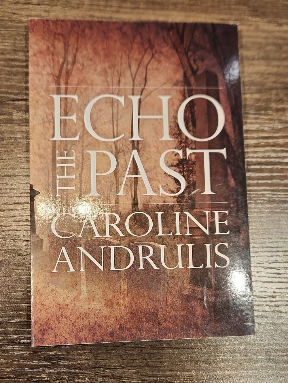 'Echo the Past' Decorative Book Cover - Brown By Caroline Andrulis